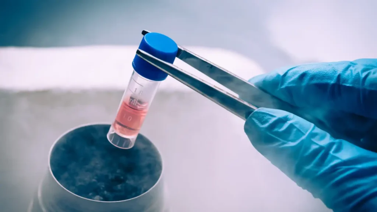 درمان چاقی با سلولهای بنیادی- بهترین جراح چاقی- دکتر طالبیان